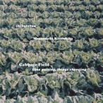 shi...Cabbage Field:time passing, things changing CD
