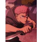 呪術廻戦 死滅回游 前編 Vol.1 DVD ※特典あり