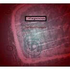 Rapoon The Silent Trumpets CD
