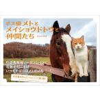 佐々木祥恵 ボス猫メトとメイショウドトウと仲間たち Book