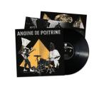 Angine de Poitrine Vol.2 アナログレコード ： 通販・価格比較 [最