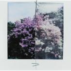  Kobukuro . день мир /Starry Smile Story [CD+Blu-ray Disc]< первый раз ограничение запись > 12cmCD Single