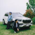 STUTS STUTS on the WAVE< первый раз ограниченный выпуск запись > LP