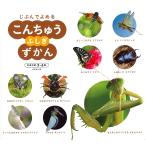 成美堂出版編集部 こんちゅう ふしぎずかん Book