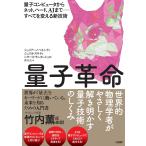 ジュリアーノ・ベネンティ 量子革命 量子コンピュータからネット、ハード、AIまで ― すべてを変える新技術 Book