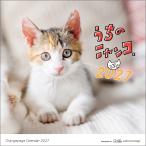  orange страница ... nyanko. настенный календарь 2027 Book