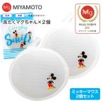  стирка кружка Chan Mickey Mouse ... кружка Chan часть магазин высушенный одобрено магазин .книга@ завод почтовая доставка доставка оплата при получении не возможно принадлежности для стирки стирка вспомогательные товары Magne sium2 шт. комплект 