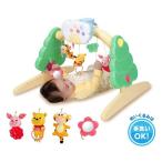 くまのプーさん 6WAYジムにへんしんメリー