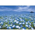  составная картинка пустой ....( Ibaraki ) [CP-JS] 300 деталь YAM-03-911