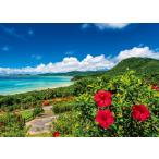 ジグソーパズル海とハイビスカス夏の...