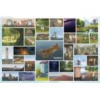 ジグソーパズルムーミンバレー100...