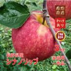 『予約』約3kg シナノリップ 長野の夏りんご 飯綱産