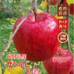 家庭用約5kg サンふじ : りんご 訳あり 樹上完熟 信州長野 県飯綱町の味覚を産地直送でお取り寄せ