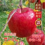  примерно 5kg солнечный .. обычный . Nagano. яблоко 