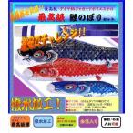  water-repellent top class type koinobori 6m 6 point set 8 point set possibility polyester A type blow . sink muzzle; ferrule assembly un- necessary house . possibility 