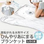 ひざかけ ケープ 接触冷感 パイル生地 アニマル しろくま お昼寝 ひんやり 涼しい カワイイ ひんやりあにまるブランケット