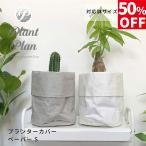 【アウトレット】 Plant Plan プラントプラン プランターカバー S ペーパー 植木鉢カバー 3号 4号 クラフトペーパー 軽量 プランター 観葉植物 カバー 鉢カバー