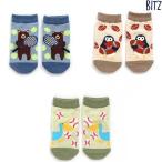ショッピングBit\\\'z ビッツ BIT'Z 3Pセットちびソックス 10-12cm 2023-01 B154013