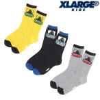 SALE 10%OFF XLarge Kids XLARGE KIDS OGbai цвет носки 15-21cm 2026-01 9461410