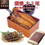 ショッピングうなぎ 蒲焼き 国内産 送料無料 うなぎ 鰻 国産 プレゼント ギフト 蒲焼 155-167g×2尾 肝蒲焼き串×3本 大盛2人前 送料無料 お祝い 母の日 父の日 贈り物 誕生日 内祝い