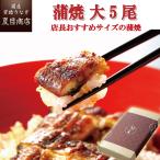 うなぎ 鰻 国産 プレゼント ギフト 蒲焼き 155-167g×5尾 大盛5人前 化粧箱 送料無料 父の日 お中元 お祝い 贈り物 誕生日 内祝い