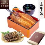うなぎ お中元 2025 プレゼント ギフト 国産 ウナギ 鰻 御中元 暑中見舞い 残暑御見舞 蒲焼 155-167g×2尾 肝蒲焼き串×3本 大盛2人前
