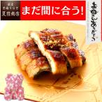 残り2体 母の日 ギフト プレゼント 2025 うなぎ 国産 蒲焼き きざみ 50g×3袋 鰻 50代 60代 70代 アートフラワーベア 少量3人前 造花