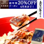 父の日 プレゼント ギフト 早割 うなぎ 鰻 国産 60代 70代 80代 蒲焼き 155-167g×2尾 大盛2人前