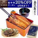 ショッピングお中元 早割 送料無料 父の日 プレゼント ギフト 早割 うなぎ 鰻 国産 60代 70代 80代 蒲焼 155-167g×2尾 肝蒲焼き串×3本 大盛2人前