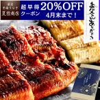 ショッピングお中元 早割 送料無料 父の日 プレゼント ギフト 早割 うなぎ 鰻 国産 60代 70代 80代 紅白セット 蒲焼 白焼 211-230g×各1尾 約4人前