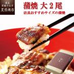 ショッピングうなぎ 蒲焼き 国内産 送料無料 うなぎ 鰻 国産 プレゼント ギフト 蒲焼き 155-167g×2尾 大盛2人前 化粧箱 送料無料 お祝い 母の日 父の日 贈り物 誕生日 内祝い