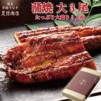 うなぎ 国産 プレゼント ギフト 鰻 蒲焼き 155-167g×3尾 大盛3人前 化粧箱 送料無料 母の日 父の日 2025 贈り物 誕生日 内祝い