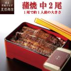 うなぎ 鰻 国産 プレゼント ギフト 蒲焼き 115-130g×2尾 化粧箱 送料無料 父の日 お中元 お祝い 贈り物 誕生日 内祝い