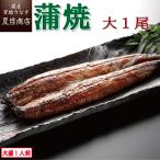 うなぎ 国産 蒲焼き 大155-180g×1尾 (大盛1人前) 送料無料 プレゼント 贈り物 母の日 父の日 2025 ギフト