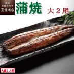 うなぎ 蒲焼き 国産 大155-180g×2尾 （大盛2人前） 送料無料 プレゼント 贈り物 父の日 お中元 お祝い ギフト