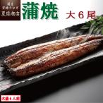 ショッピングお中元 早割 送料無料 うなぎ 蒲焼き 国産 大155-180g×6尾 （大盛6人前） 送料無料 プレゼント 贈り物 父の日 お中元 お祝い ギフト