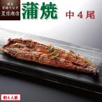 うなぎ 国産 蒲焼き 中115-130g×4尾 (約4人前) 送料無料 プレゼント 贈り物 母の日 父の日 2025 ギフト