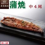 うなぎ 蒲焼き 国産 中115-130g×4尾 （約4人前） 送料無料 プレゼント 贈り物 父の日 お中元 お祝い ギフト