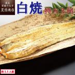 うなぎ 白焼き 国産 特大181-210g×2尾 (約3.5-4人前) 送料無料 プレゼント 贈り物 母の日 父の日 2025 ギフト