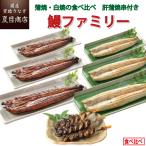 うなぎ 爆買 蒲焼き 白焼き 国産 鰻ファミリー 特々大・大・中 各1尾 肝蒲焼串3本 約8人前 ウナギ 鰻 送料無料 お中元 敬老の日 暑中御見舞 贈り物