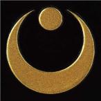  дом . лакировка наклейка дом . стикер [ подлинный направление месяц . звезда ] золотой 30mm