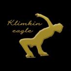 фигурное катание лакировка наклейка [ фигурное катание k обод gold Eagle золотой ]