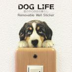 DOG LIFE Color собака жизнь цвет [ Barneys mountain собака ] собака цвет настенный стикер 