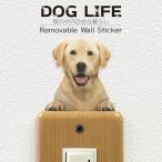DOG LIFE Color собака жизнь цвет [ Rav Rado ruretoli балка ] собака цвет настенный стикер 