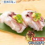 ヤリイカげそ 20枚 (寿司ネタ 刺身用イカゲソ いかげそ イカ下足)