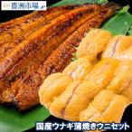 ショッピングうなぎ 国産 うにうなぎセット ＜竹＞ 特大国産うなぎ蒲焼き 平均165g前後×2尾 生ウニ 100g タレ付き 柔らかうなぎと生ウニの贅沢セット