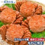 特大 毛ガニ 毛蟹 浜茹で毛がに姿(平均570g前後×4尾 ボイル 冷凍 北海道産 最高級 堅蟹)