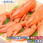 オマール海老 ロブスター 10尾 BBQ バーベキュー クリスマス えび 海老 エビ