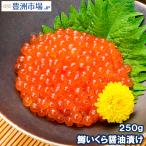 イクラ醤油漬け 250g 北海道製造 鱒いくら 鮭鱒いくら いくら醤油漬け 鱒子 鱒卵 醤油いくら いくら丼 イクラ丼 味付けいくら 味付けイクラ