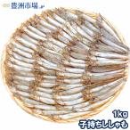 訳ありししゃも(1kg・業務用子持ちシシャモ)